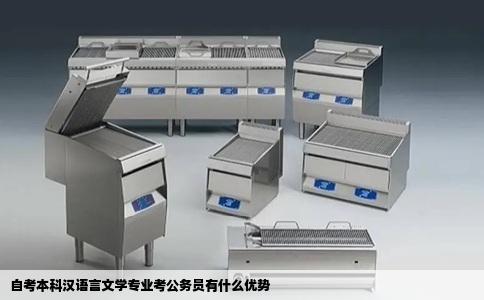 自考本科汉语言文学专业考公务员有什么优势