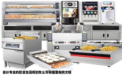 会计专业的职业生涯规划怎么写啊哪里有例文啊