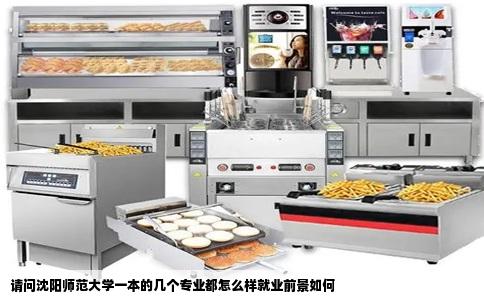请问沈阳师范大学一本的几个专业都怎么样就业前景如何