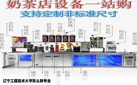 辽宁工程技术大学怎么转专业