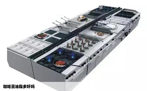 咖啡豆油脂多好吗