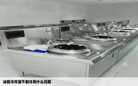 冰箱冷冻室不制冷是什么问题