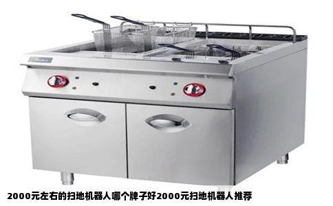 2000元左右的扫地机器人哪个牌子好2000元扫地机器人推荐