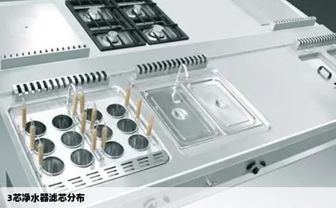 3芯净水器滤芯分布