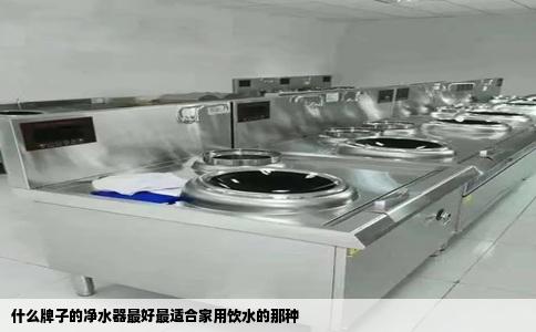 什么牌子的净水器最好最适合家用饮水的那种