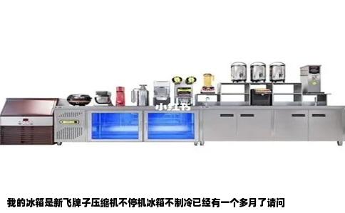 我的冰箱是新飞牌子压缩机不停机冰箱不制冷已经有一个多月了请问