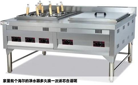 家里有个海尔的净水器多久换一次滤芯合适呢