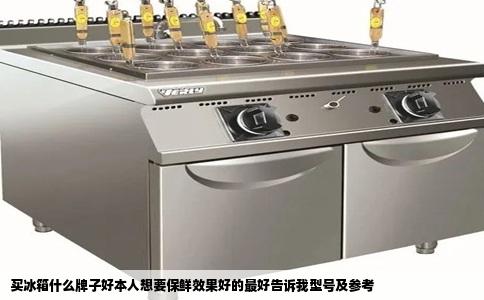 买冰箱什么牌子好本人想要保鲜效果好的最好告诉我型号及参考