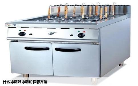 什么冰箱好冰箱的保养方法