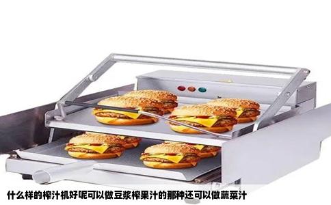 什么样的榨汁机好呢可以做豆浆榨果汁的那种还可以做蔬菜汁