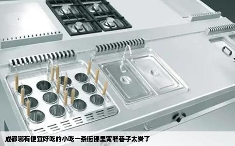 成都哪有便宜好吃的小吃一条街锦里宽窄巷子太贵了