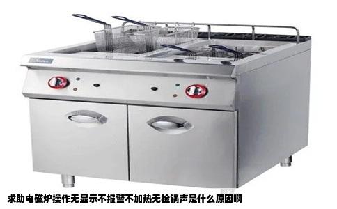 求助电磁炉操作无显示不报警不加热无检锅声是什么原因啊