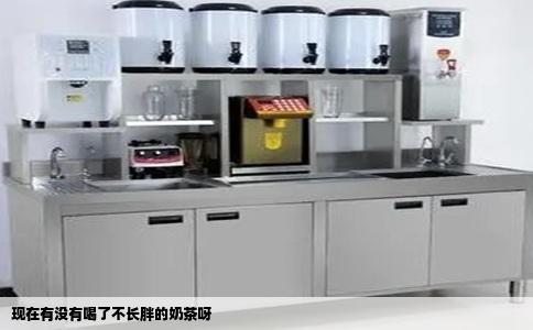 现在有没有喝了不长胖的奶茶呀