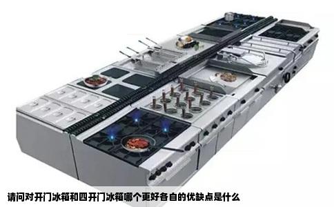 请问对开门冰箱和四开门冰箱哪个更好各自的优缺点是什么