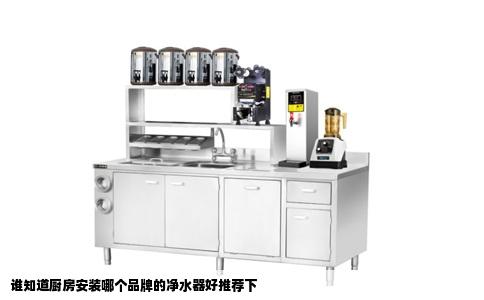 谁知道厨房安装哪个品牌的净水器好推荐下