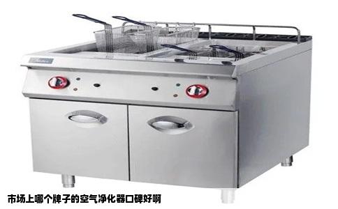 市场上哪个牌子的空气净化器口碑好啊