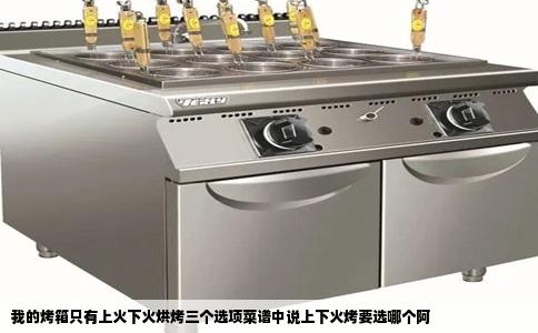 我的烤箱只有上火下火烘烤三个选项菜谱中说上下火烤要选哪个阿