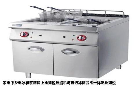 家电下乡电冰箱在结构上比如说压缩机与普通冰箱会不一样吧比如说