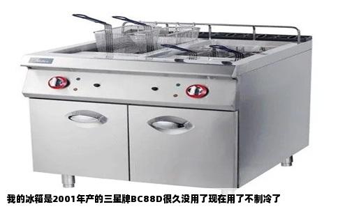 我的冰箱是2001年产的三星牌BC88D很久没用了现在用了不制冷了