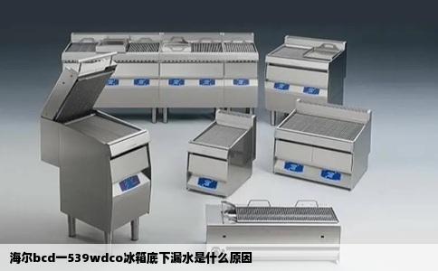 海尔bcd一539wdco冰箱底下漏水是什么原因