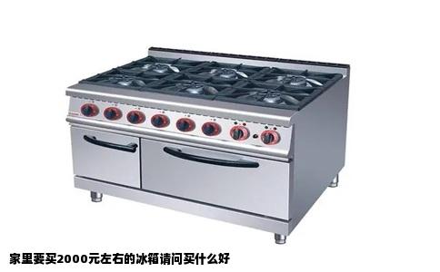 家里要买2000元左右的冰箱请问买什么好