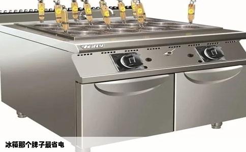 冰箱那个牌子最省电