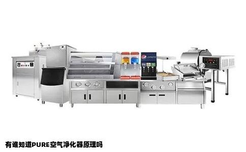 有谁知道PURE空气净化器原理吗