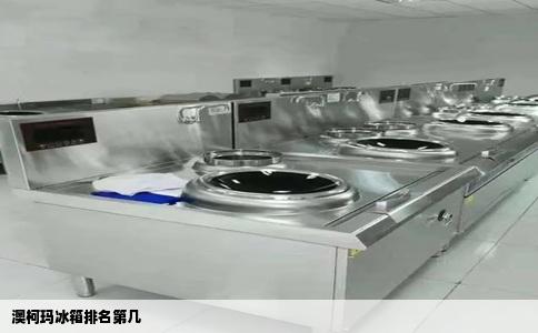 澳柯玛冰箱排名第几