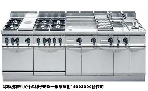 冰箱洗衣机买什么牌子的好一般家庭用15003000价位的