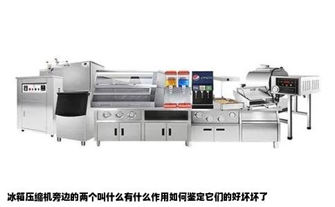 冰箱压缩机旁边的两个叫什么有什么作用如何鉴定它们的好坏坏了