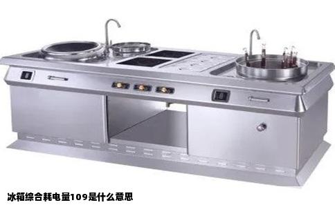 冰箱综合耗电量109是什么意思