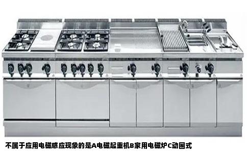 不属于应用电磁感应现象的是A电磁起重机B家用电磁炉C动圈式