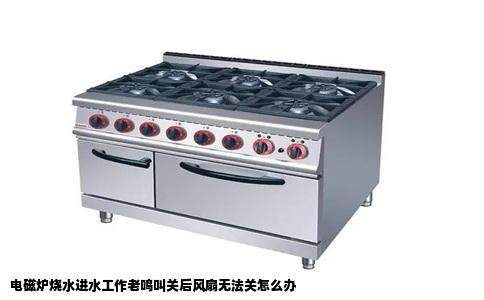 电磁炉烧水进水工作老鸣叫关后风扇无法关怎么办