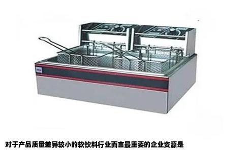 对于产品质量差异较小的软饮料行业而言最重要的企业资源是