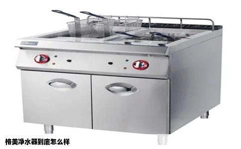 格美净水器到底怎么样