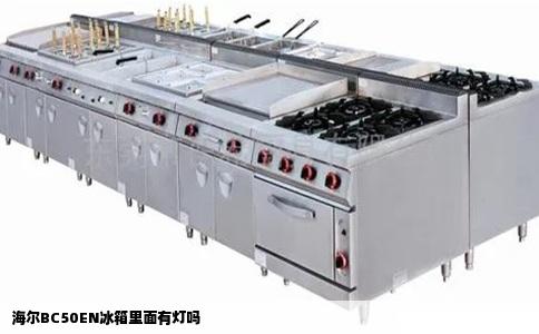 海尔BC50EN冰箱里面有灯吗