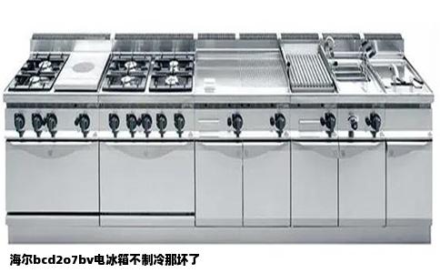 海尔bcd2o7bv电冰箱不制冷那坏了