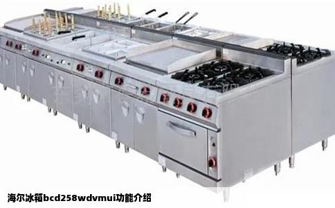 海尔冰箱bcd258wdvmui功能介绍