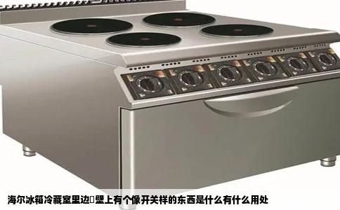 海尔冰箱冷藏室里边旳壁上有个像开关样的东西是什么有什么用处