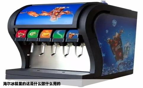 海尔冰箱里的这是什么做什么用的