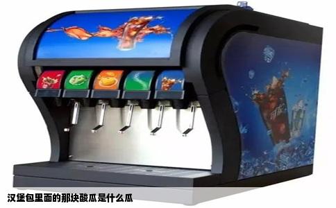 汉堡包里面的那块酸瓜是什么瓜
