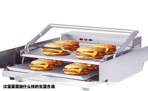 汉堡里面放什么样的生菜合适