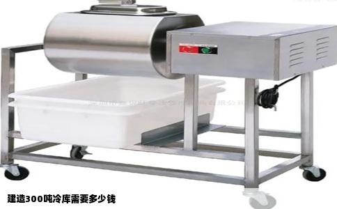 建造300吨冷库需要多少钱