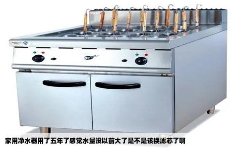 家用净水器用了五年了感觉水量没以前大了是不是该换滤芯了啊