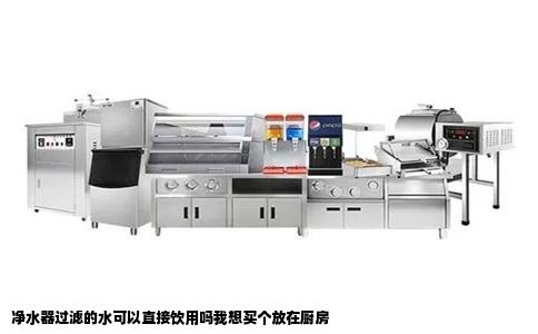 净水器过滤的水可以直接饮用吗我想买个放在厨房