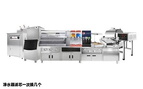 净水器滤芯一次换几个