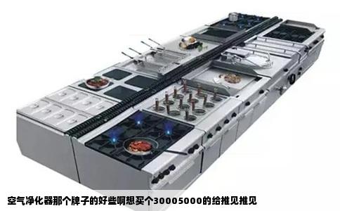 空气净化器那个牌子的好些啊想买个30005000的给推见推见