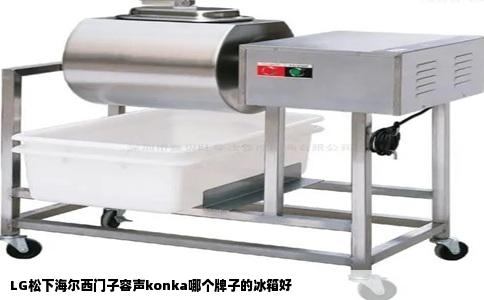 LG松下海尔西门子容声konka哪个牌子的冰箱好