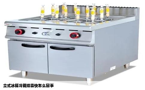 立式冰箱冷藏结霜快怎么回事