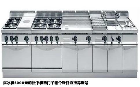 买冰箱5000元的松下和西门子哪个好能否推荐型号